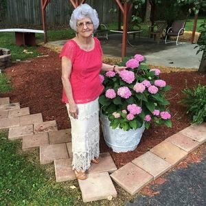 Meet your Posher, Johnnyfaye